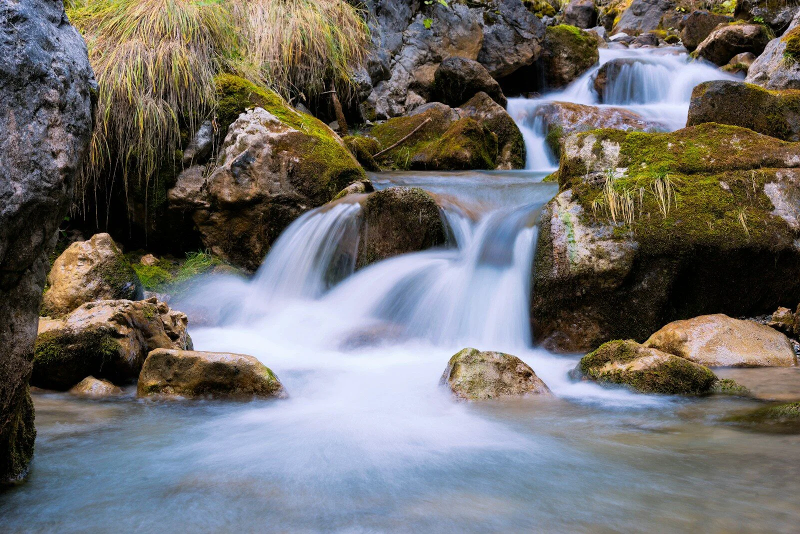 Continuous Delivery should be your top priority
